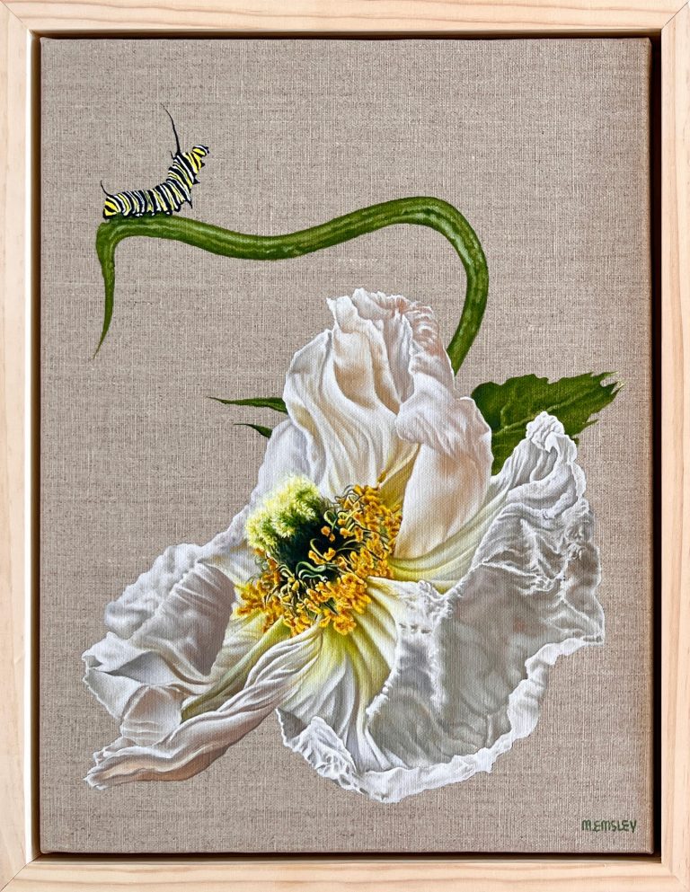 Margaret Emsley - Papaver - oil