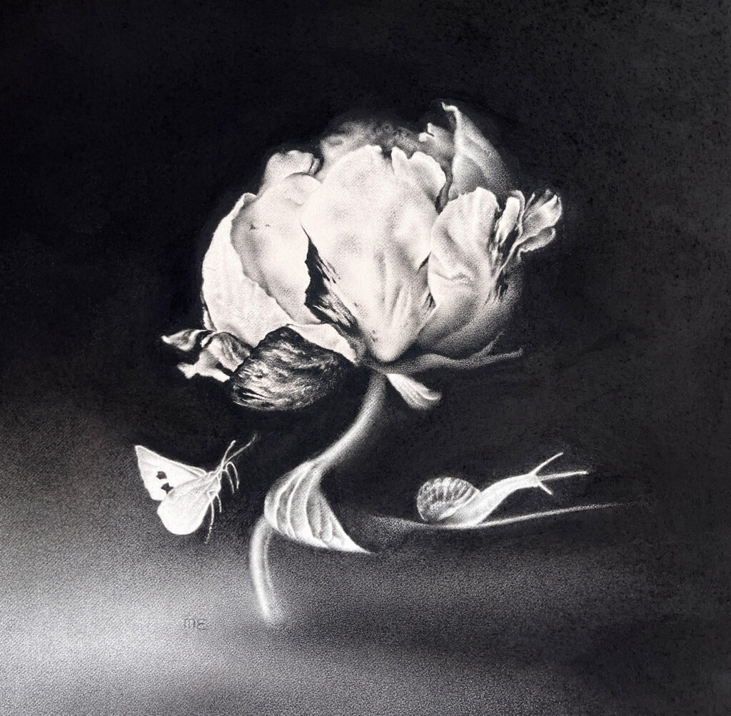 Not the sun, but the moon